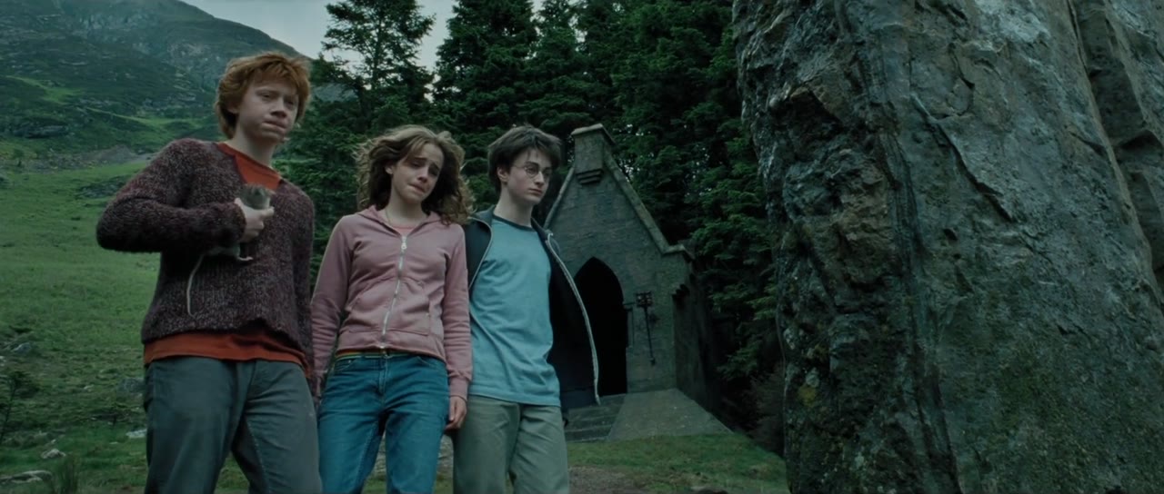 Harry, Hermione and Ron